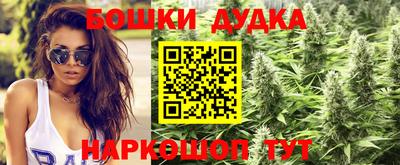 мдпв Моздок