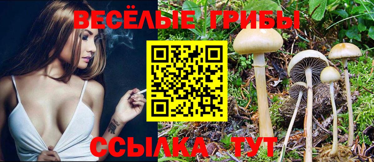 Галлюциногенные грибы GOLDEN TEACHER  Вход с VPN  Вольск 